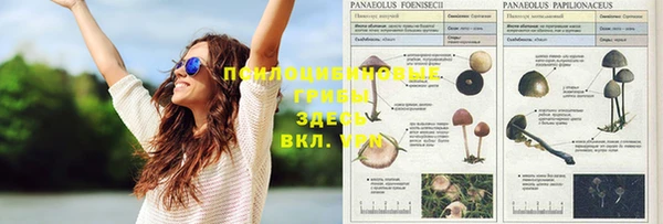 ешки Каменка