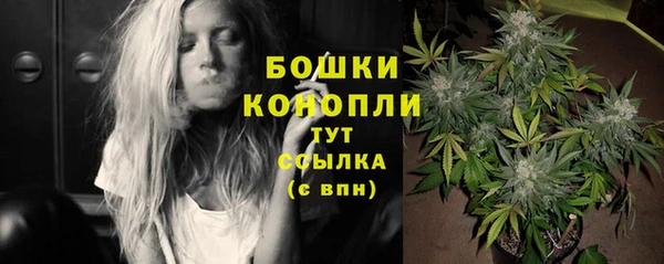 PSILOCYBIN Киренск
